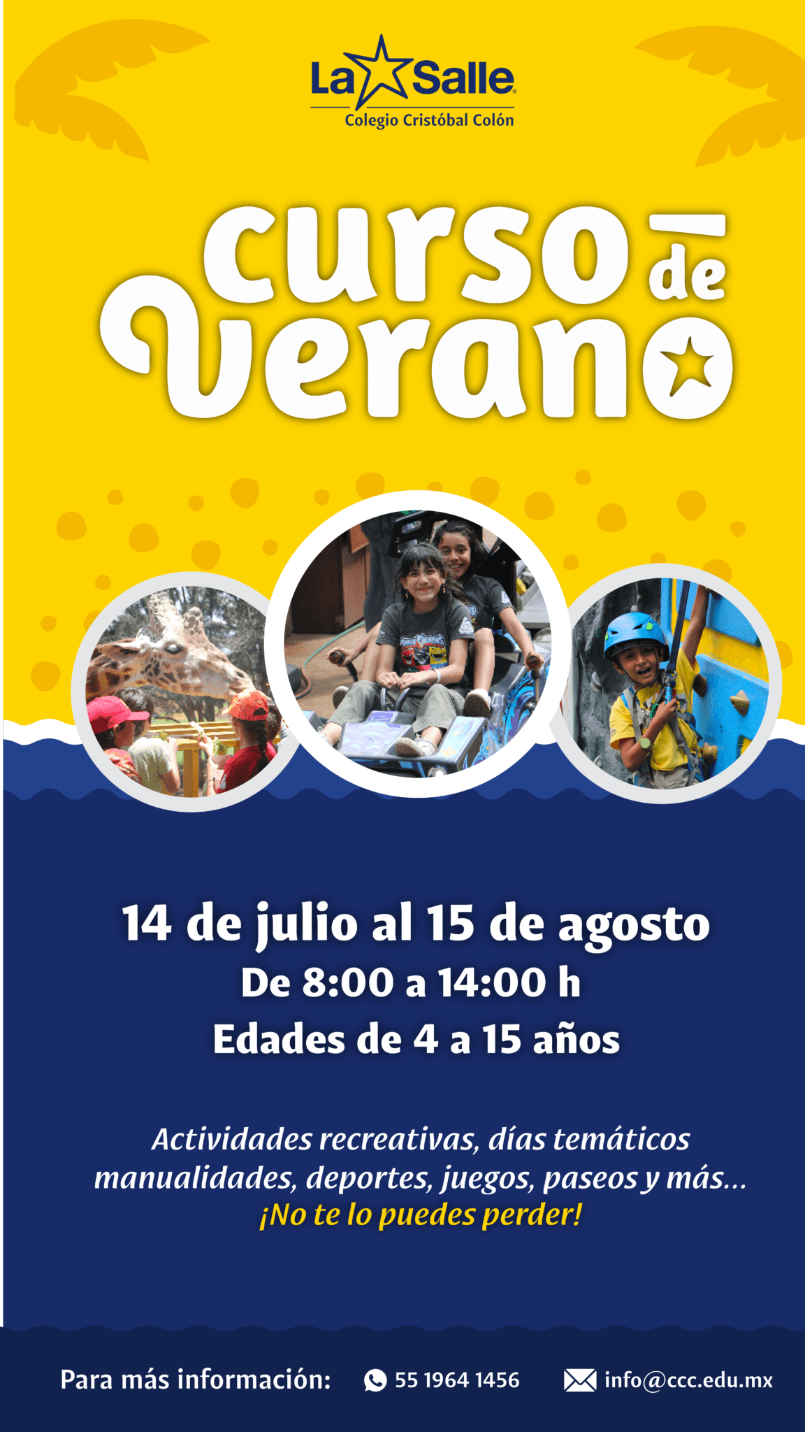 Curso de verano 2025